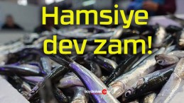 Hamsiye dev zam!