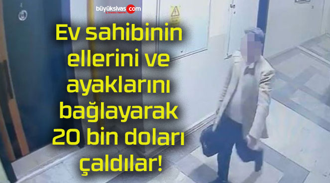 Ev sahibinin ellerini ve ayaklarını bağlayarak 20 bin doları çaldılar!