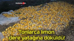 Tonlarca limon dere yatağına döküldü!