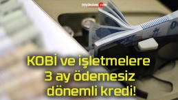 KOBİ ve işletmelere 3 ay ödemesiz dönemli kredi!