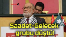 Saadet-Gelecek grubu düştü!