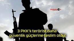 3 PKK’lı terörist daha güvenlik güçlerine teslim oldu!