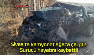 Sivas’ta kamyonet ağaca çarptı! Sürücü hayatını kaybetti!