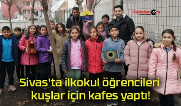 Sivas’ta ilkokul öğrencileri kuşlar için kafes yaptı!