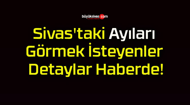 Sivas’taki Ayıları Görmek İsteyenler Detaylar Haberde!