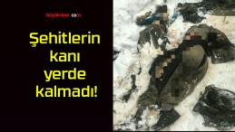 Şehitlerin kanı yerde kalmadı!