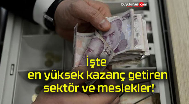 İşte en yüksek kazanç getiren sektör ve meslekler!