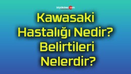 Kawasaki Hastalığı Nedir? Belirtileri Nelerdir?