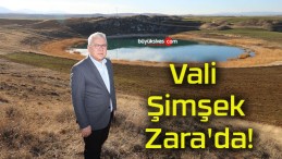 Vali Şimşek Zara’da!