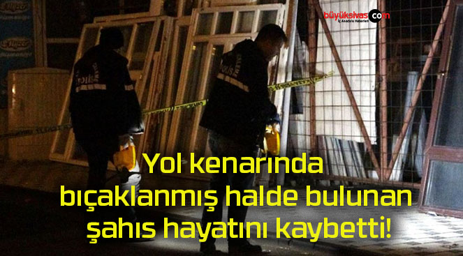 Yol kenarında bıçaklanmış halde bulunan şahıs hayatını kaybetti!