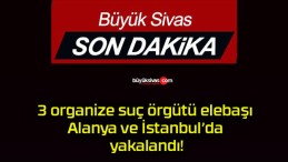 3 organize suç örgütü elebaşı Alanya ve İstanbul’da yakalandı!