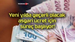 Yeni yılda geçerli olacak asgari ücret için süreç başlıyor!