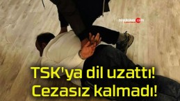 TSK’ya dil uzattı! Cezasız kalmadı!