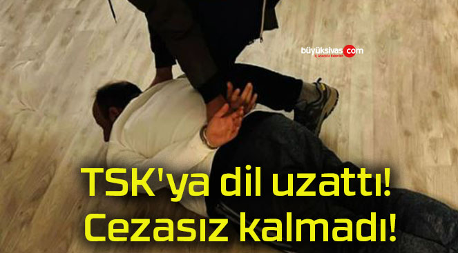 TSK’ya dil uzattı! Cezasız kalmadı!