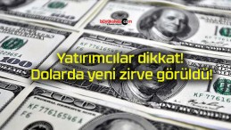 Yatırımcılar dikkat! Dolarda yeni zirve görüldü!