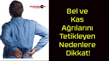 Bel ve Kas Ağrılarını Tetikleyen Nedenlere Dikkat!