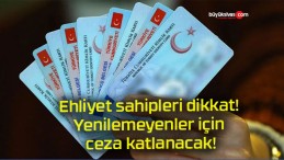 Ehliyet sahipleri dikkat! Yenilemeyenler için ceza katlanacak!