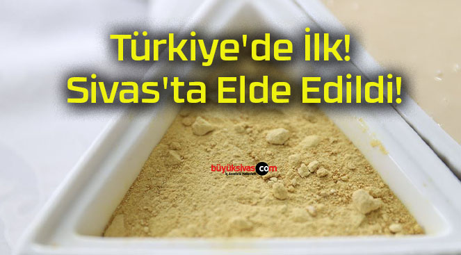 Türkiye’de İlk! Sivas’ta Elde Edildi!