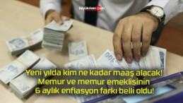 Yeni yılda kim ne kadar maaş alacak! Memur ve memur emeklisinin 6 aylık enflasyon farkı belli oldu!