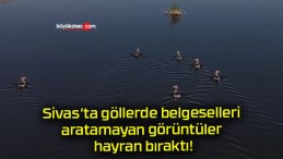 Sivas’ta göllerde belgeselleri aratamayan görüntüler hayran bıraktı!