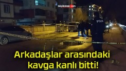 Arkadaşlar arasındaki kavga kanlı bitti!