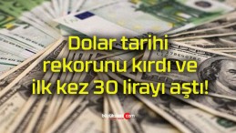 Dolar tarihi rekorunu kırdı ve ilk kez 30 lirayı aştı!