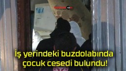 İş yerindeki buzdolabında çocuk cesedi bulundu!