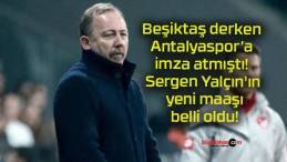 Beşiktaş derken Antalyaspor’a imza atmıştı! Sergen Yalçın’ın yeni maaşı belli oldu!