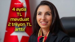 4 ayda TL mevduat 2 trilyon TL arttı!