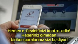 Hemen e-Devlet’inizi kontrol edin! Haberiniz olmadan biriken paralarınız sizi bekliyor!