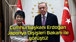 Cumhurbaşkanı Erdoğan Japonya Dışişleri Bakanı ile görüştü!
