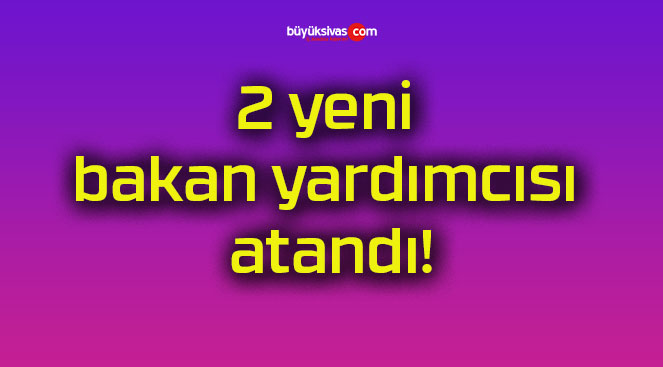 2 yeni bakan yardımcısı atandı!