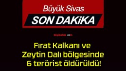 Fırat Kalkanı ve Zeytin Dalı bölgesinde 6 terörist öldürüldü!