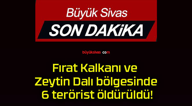 Fırat Kalkanı ve Zeytin Dalı bölgesinde 6 terörist öldürüldü!