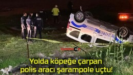 Yolda köpeğe çarpan polis aracı şarampole uçtu!