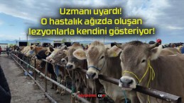 Uzmanı uyardı! O hastalık ağızda oluşan lezyonlarla kendini gösteriyor!