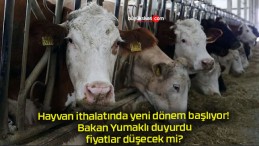 Hayvan ithalatında yeni dönem başlıyor! Bakan Yumaklı duyurdu fiyatlar düşecek mi?