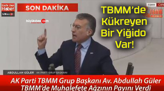 TBMM’de Kükreyen Bir Yiğido Var!