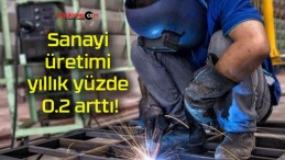 Sanayi üretimi yıllık yüzde 0.2 arttı!