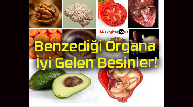 Benzediği Organa İyi Gelen Besinler!