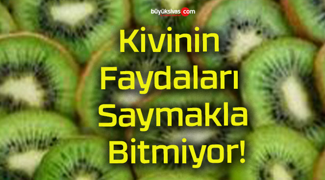 Kivinin Faydaları Saymakla Bitmiyor!