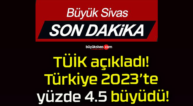 TÜİK açıkladı! Türkiye 2023’te yüzde 4.5 büyüdü!