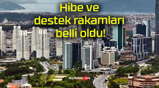 Hibe ve destek rakamları belli oldu!