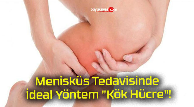 Menisküs Tedavisinde İdeal Yöntem “Kök Hücre”!