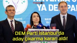 DEM Parti İstanbul’da aday çıkarma kararı aldı!