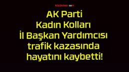 AK Parti Kadın Kolları İl Başkan Yardımcısı trafik kazasında hayatını kaybetti!