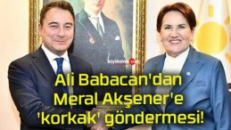 Ali Babacan’dan Meral Akşener’e ‘korkak’ göndermesi!