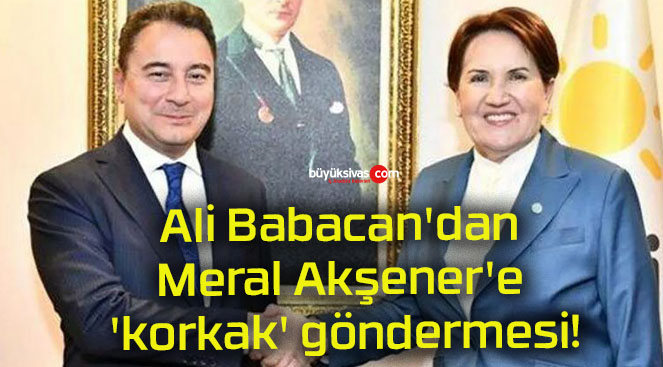 Ali Babacan’dan Meral Akşener’e ‘korkak’ göndermesi!