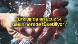 Türkiye’de en ucuz su bakın nerede tüketiliyor?