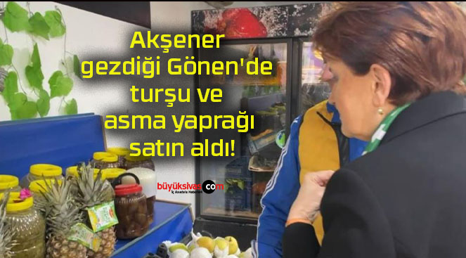 Akşener gezdiği Gönen’de turşu ve asma yaprağı satın aldı!